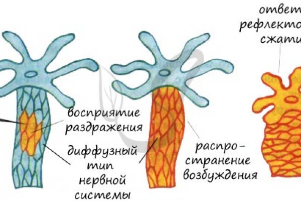 Kraken зеркало тор