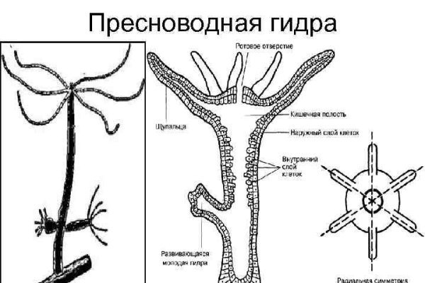 Зеркала сайта кракен tor