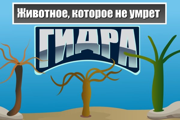 Открыть даркнет